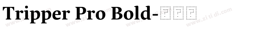 Tripper Pro Bold字体转换